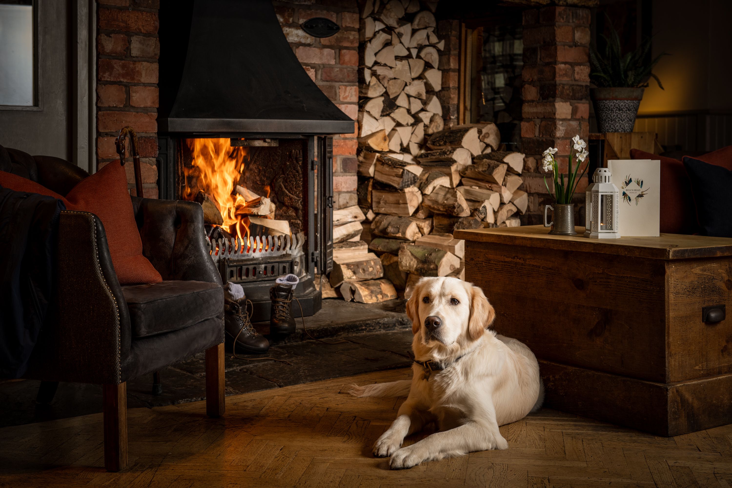 dog lying by the fire in a country pub