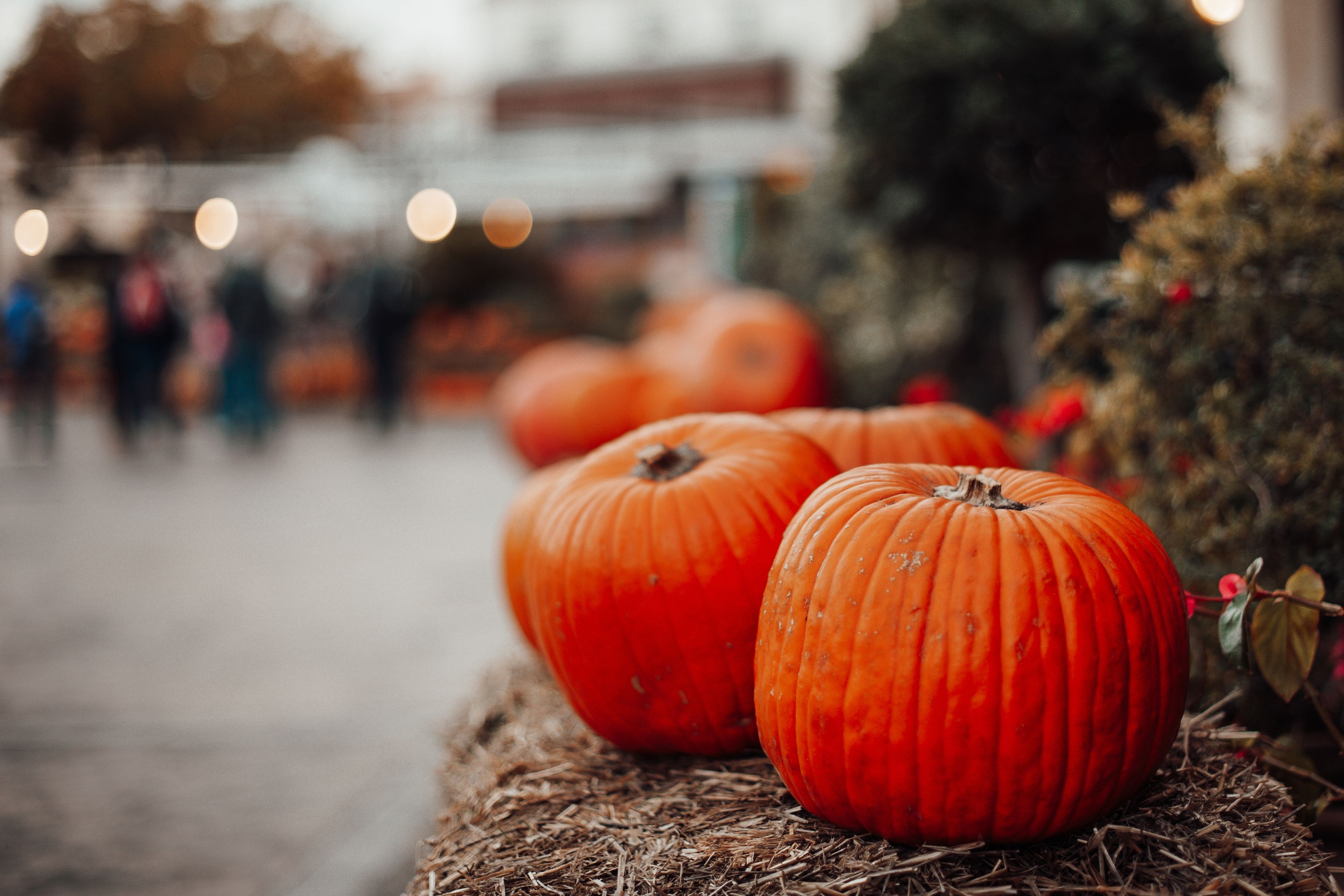 pumpkins at a market
